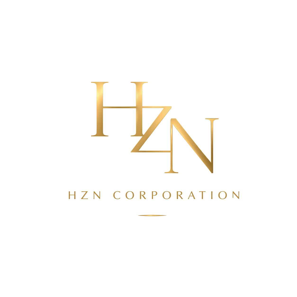 HZN INC